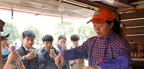 烧饼宝强姐网络爆红 和王宝强一样一样的