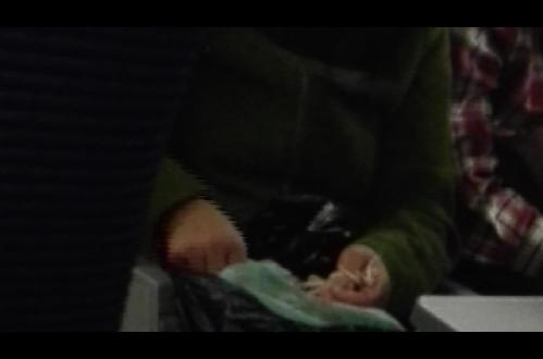 实拍高铁车厢黑脸老妇快手拔鸡毛 场面血腥吓