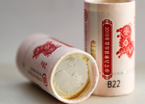 广东广州:黑叶猴龙凤胎体色完全变黑 广东广州:黑叶猴龙凤胎体色完全变黑