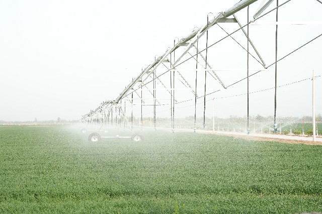 绘就农业好“丰”景 乐陵积极打造“吨半粮”核心区高标准农田