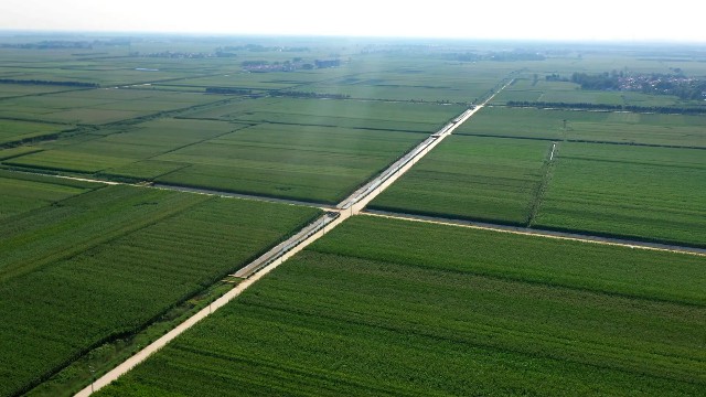 绘就农业好“丰”景 乐陵积极打造“吨半粮”核心区高标准农田