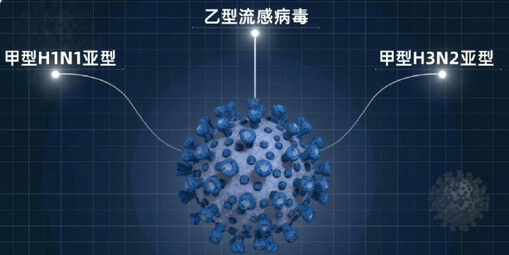 同筑健康防线丨微小却危险 流感病毒如何破解人体免疫