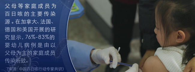 同筑健康防线丨一个传染17个!百日咳,每个家长都该警惕的“隐形炸弹” 同筑健康防线丨一个传染17个!百日咳,每个家长都该警惕的“隐形炸弹”