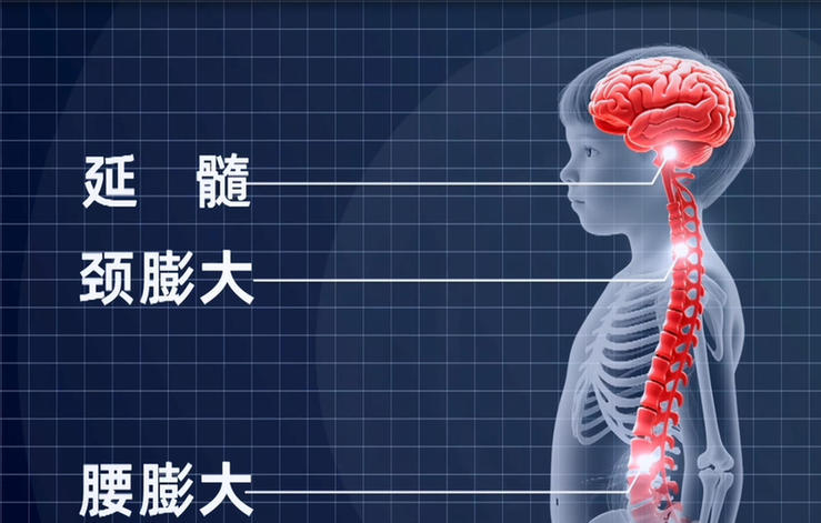 同筑健康防线丨曾让无数孩子致残的病毒 虽已“清零”，但需警惕