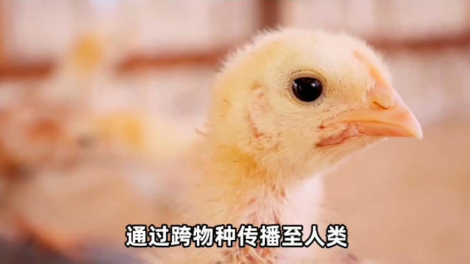 同筑健康防线丨新发传染病就是新的传染病吗？