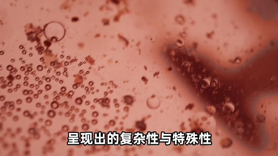 同筑健康防线丨新发传染病带给我们怎样的危害？