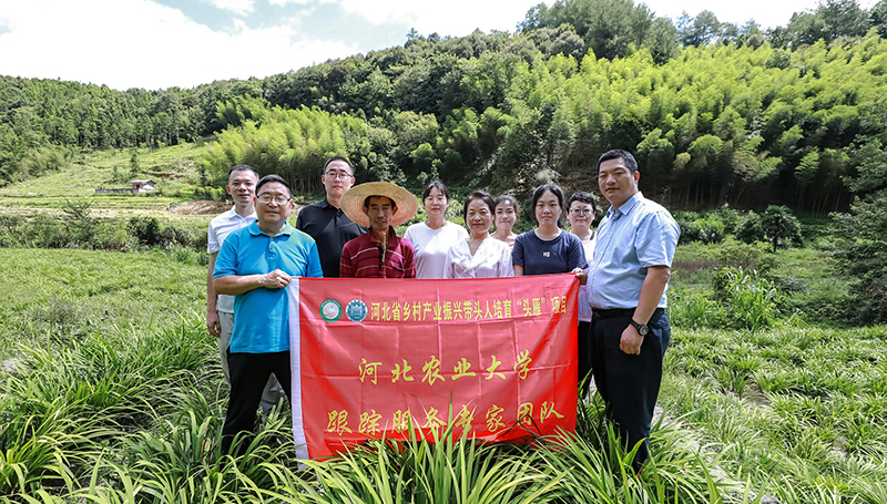 北“雁”南飞启心田 北“雁”南飞启心田