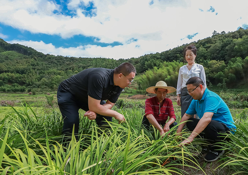 北“雁”南飞启心田 北“雁”南飞启心田